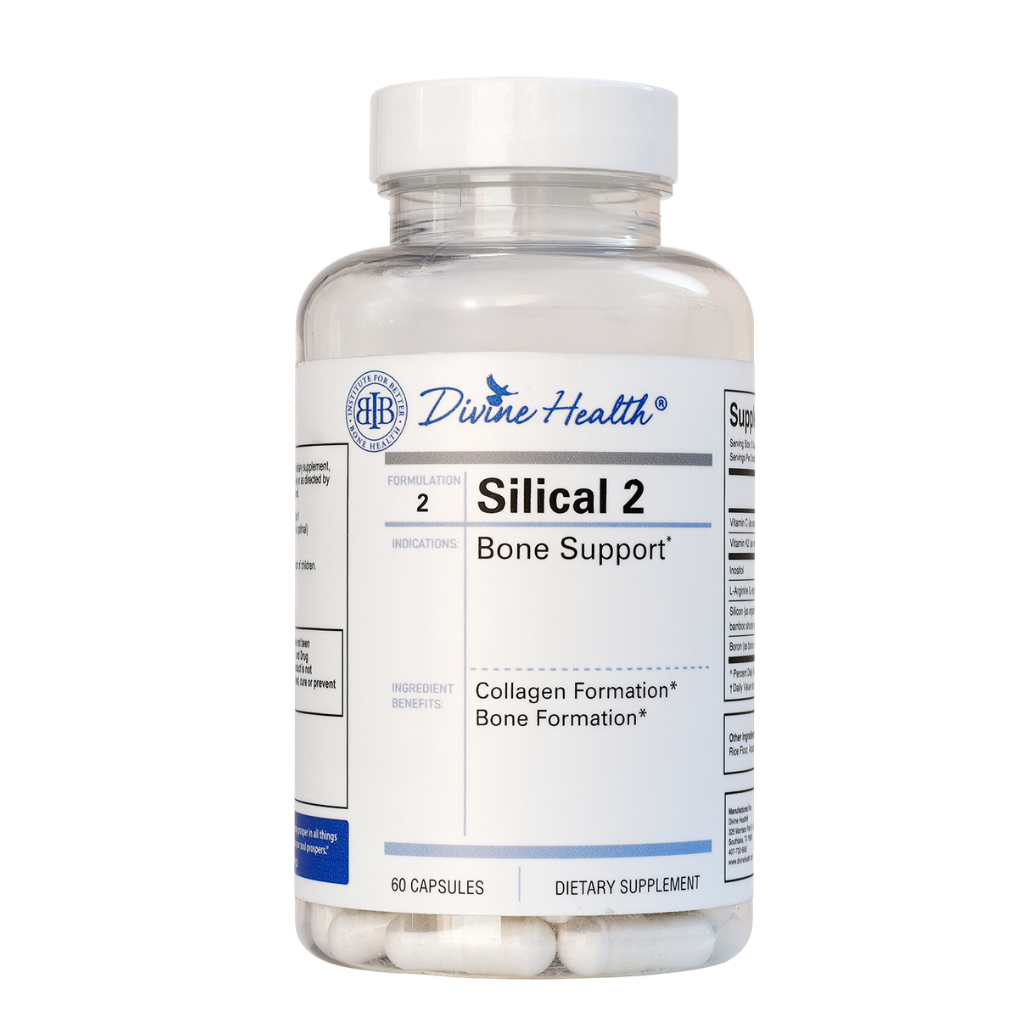 Silical 2